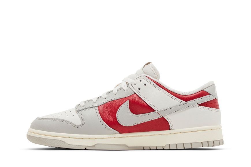 Nike Dunk Low Retro HJ9093-030 фото